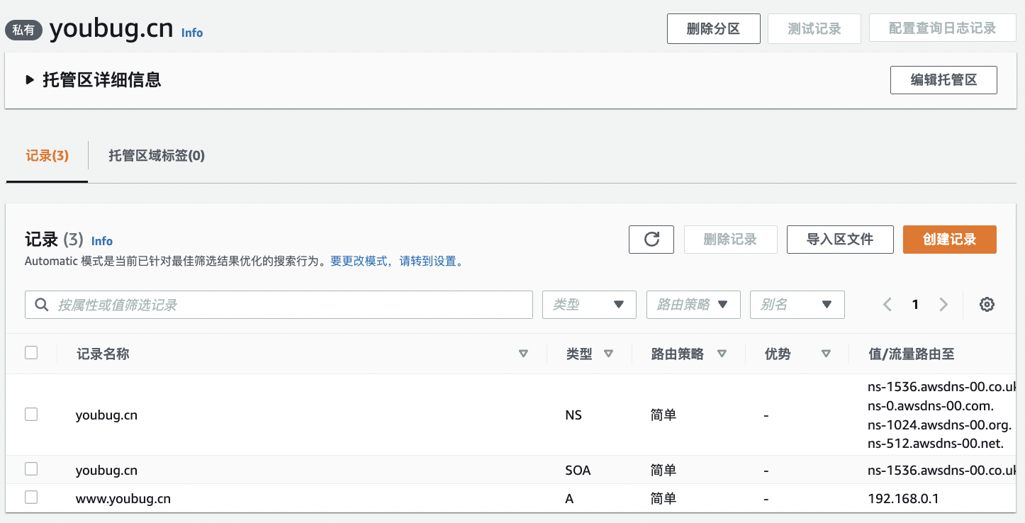 DNS result